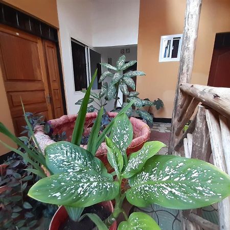 The Belle View Inn Bed & Breakfast Moshi Luaran gambar